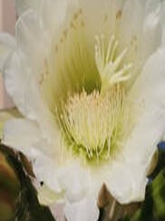 [ZU GAST] A.T.E.M.-Akademie Martin Vogel